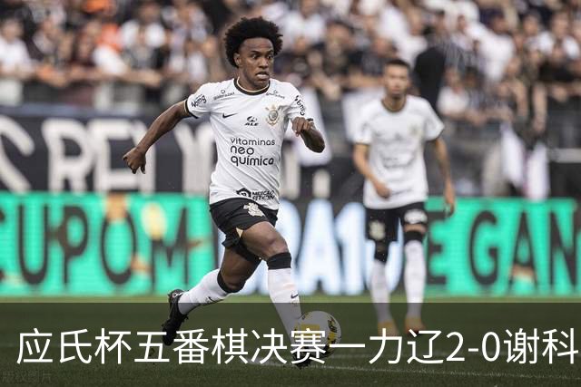 应氏杯五番棋决赛一力辽2-0谢科 率先拿到赛点